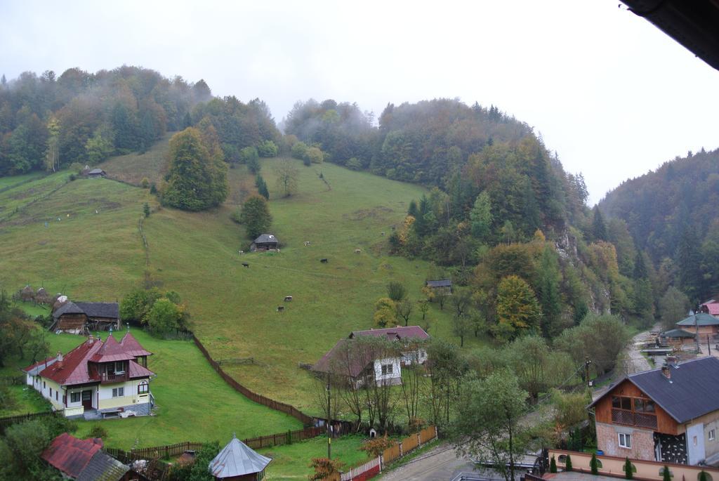 Pensiune Restaurant Piatra Craiului Dîmbovicioara المظهر الخارجي الصورة